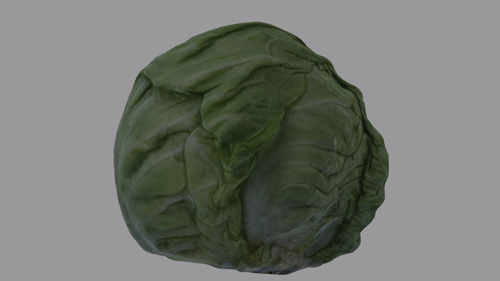 Cabbage Head preview image